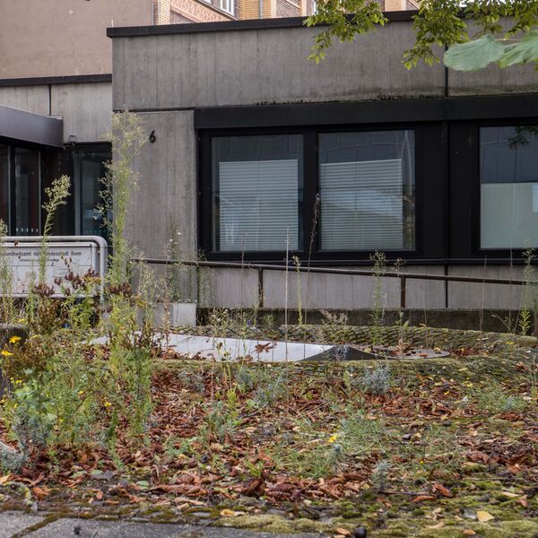 Victor Bonato, Spaltung