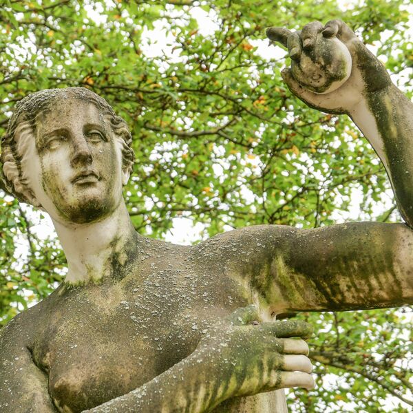 Stefan Demary, Ohne Titel (Venus von Milo)