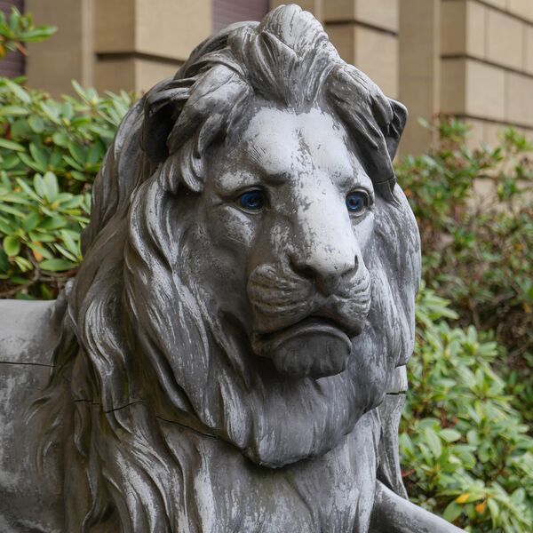 Christian Daniel Rauch, Löwe