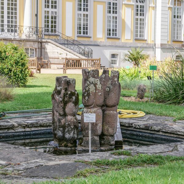 Mareile Schaumburg, Froschschenkel