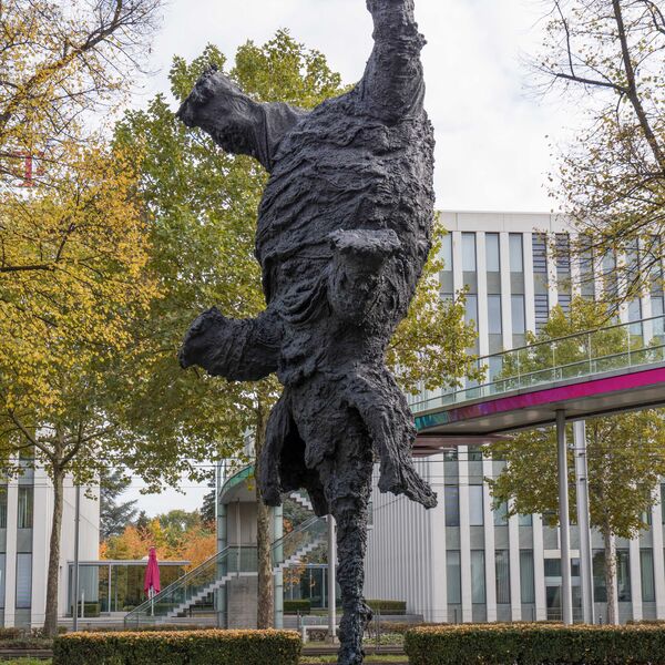 Miquel Barceó, Gran elefant dret