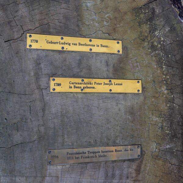 Urheberschaft unbekannt, Redwood-Baumscheibe mit historischen Daten