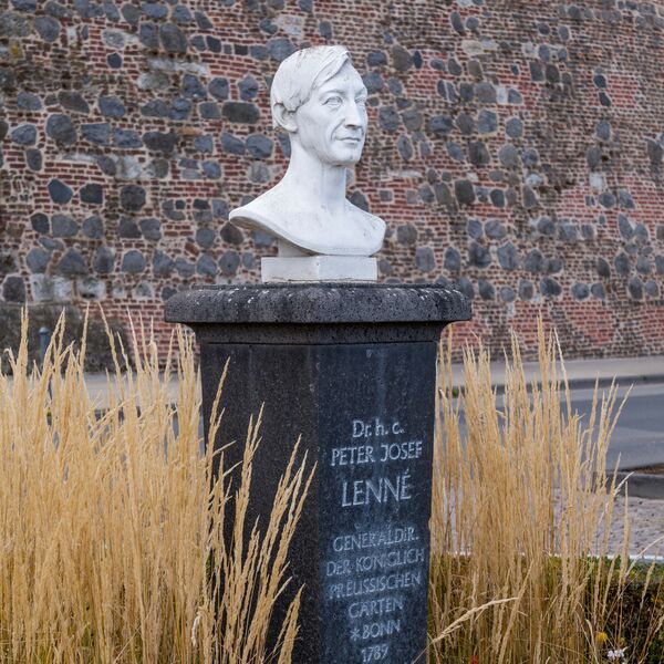 Christian Daniel Rauch (Entwurf) / Heinrich Berges (Ausführung), Lenné-Denkmal