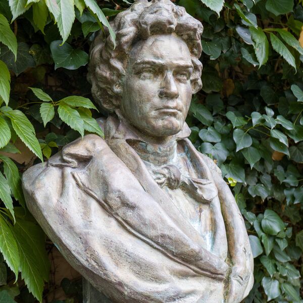 Cantemir Rișcuția, Beethoven-Büste