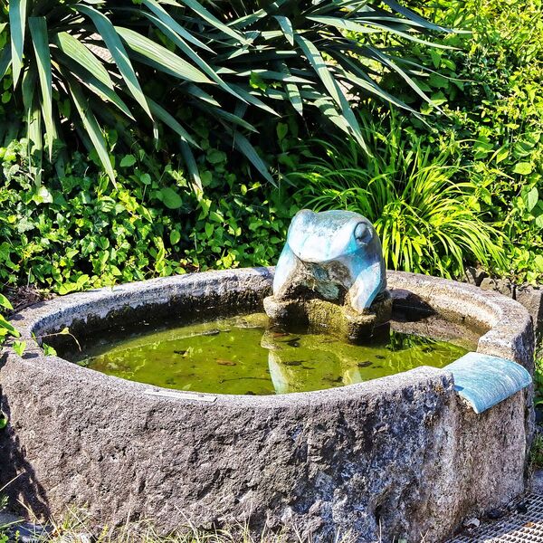 Heinz Feuerborn, Brunnen mit Frosch