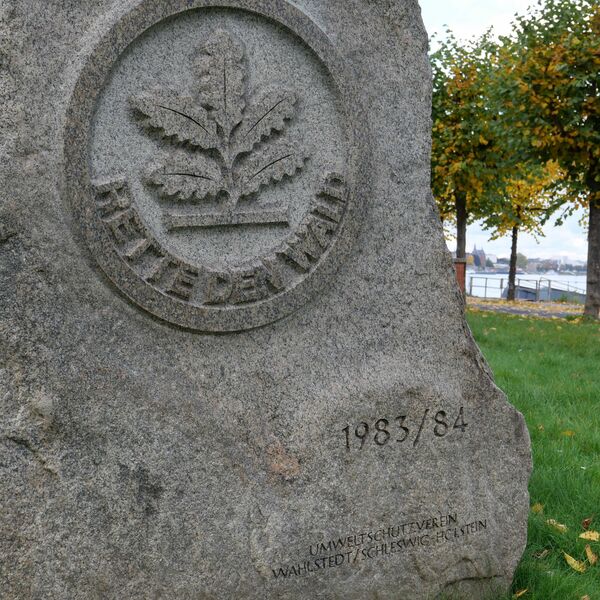 Silvius Wodarz, Rette den Wald