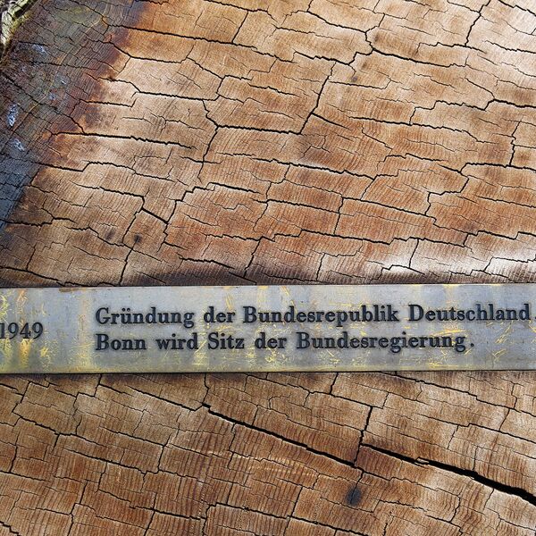 Urheberschaft unbekannt, Redwood-Baumscheibe mit historischen Daten