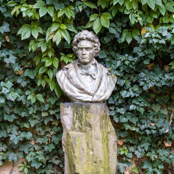 Cantemir Rișcuția, Beethoven-Büste