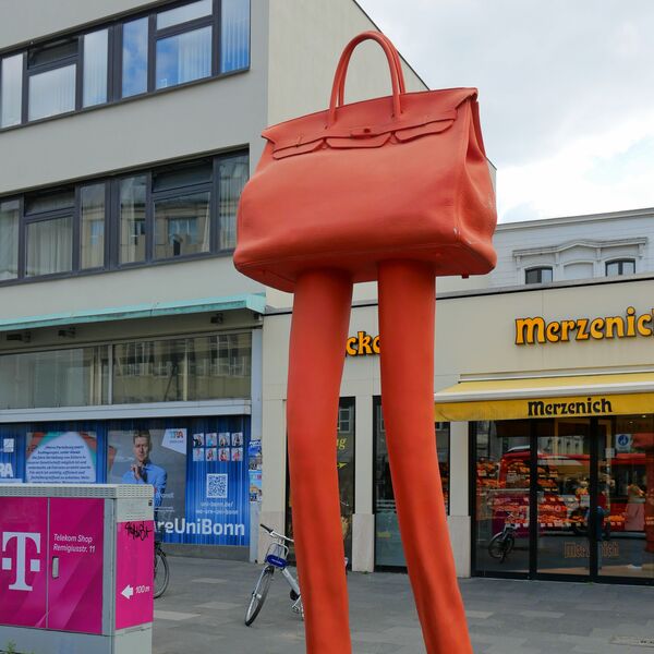 Erwin Wurm, Walking Bag