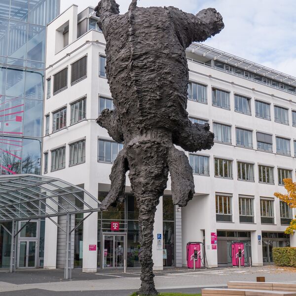 Miquel Barceó, Gran elefant dret