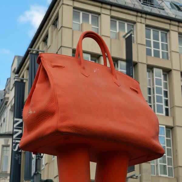 Erwin Wurm, Walking Bag