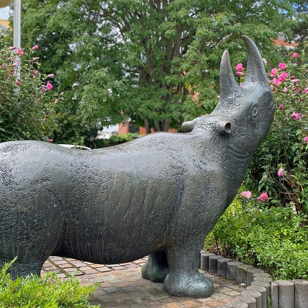 Josef Gollwitzer, Nashorn