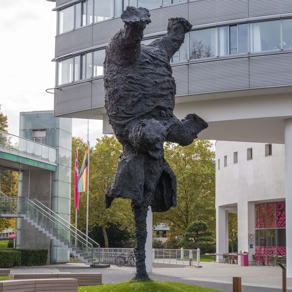 Miquel Barceó, Gran elefant dret