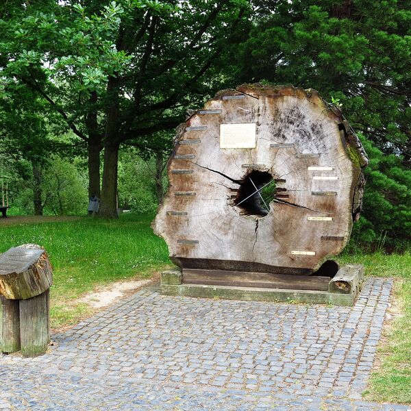 Urheberschaft unbekannt, Redwood-Baumscheibe mit historischen Daten