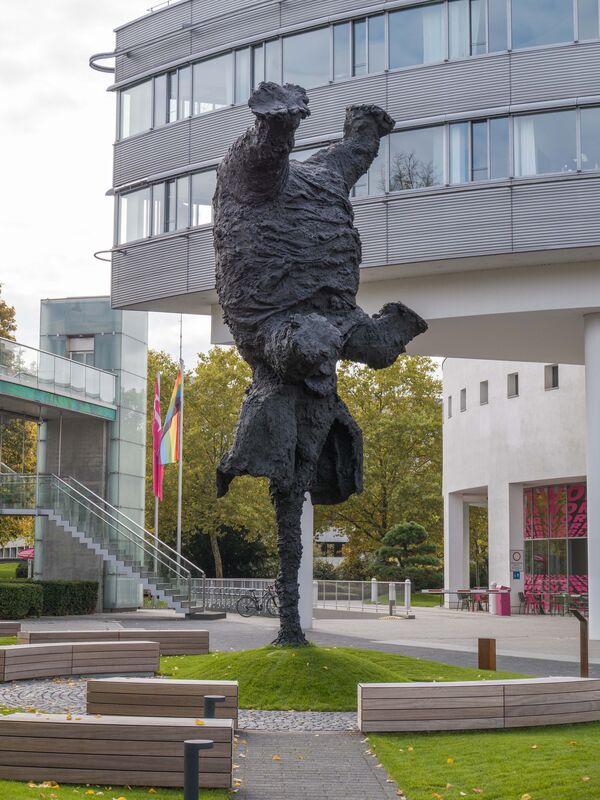 Miquel Barceó, Gran elefant dret