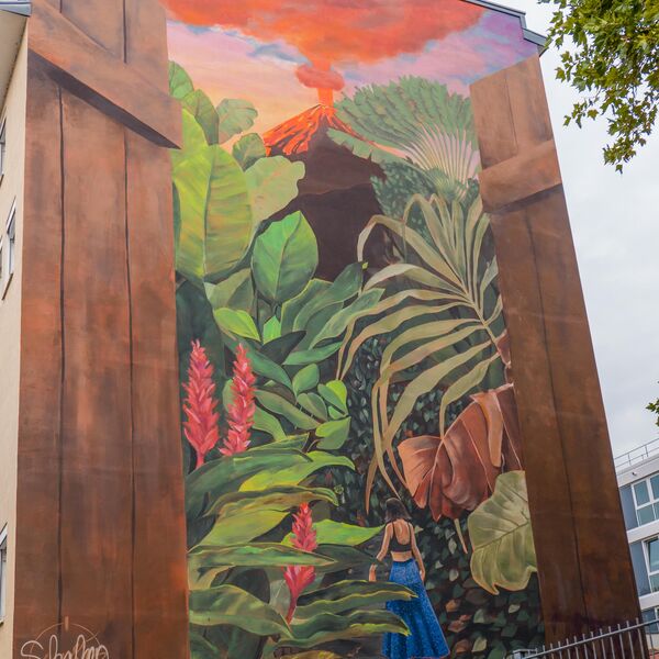 Shaleen Faussner und innerfields, Shaleen meets innerfields